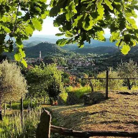 Del Borgo *